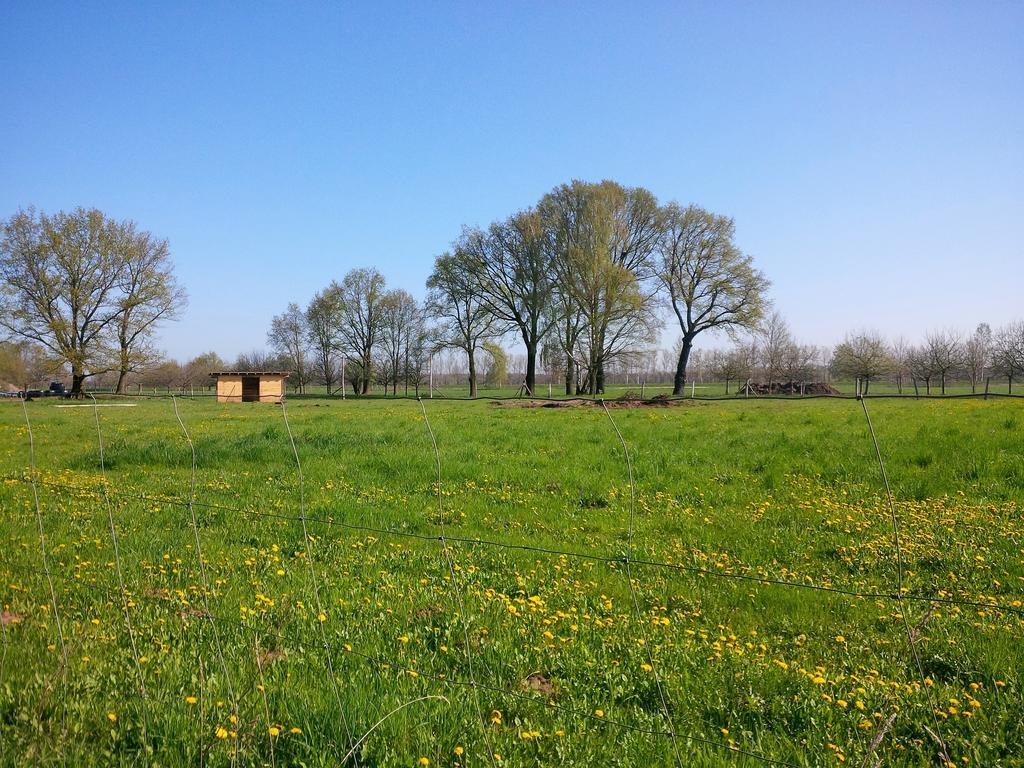 Ferienhof Idyll Am Kleinen Fliess Burg  Eksteriør bilde