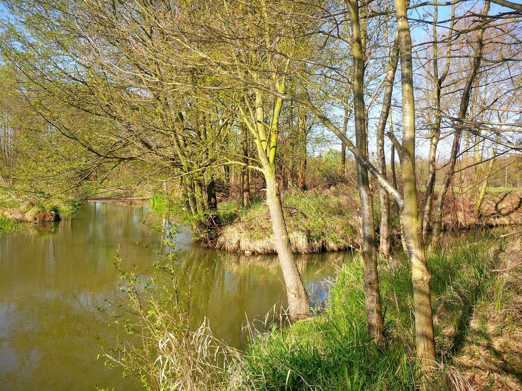 Ferienhof Idyll Am Kleinen Fliess Burg  Eksteriør bilde