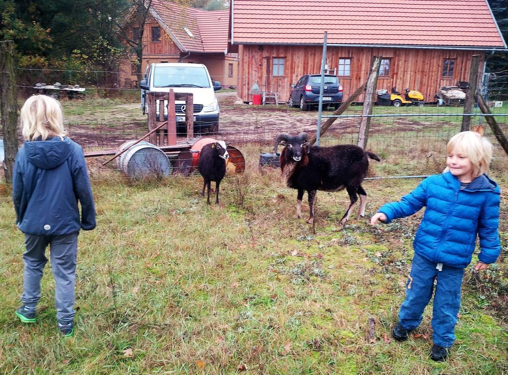 Ferienhof Idyll Am Kleinen Fliess Burg  Eksteriør bilde
