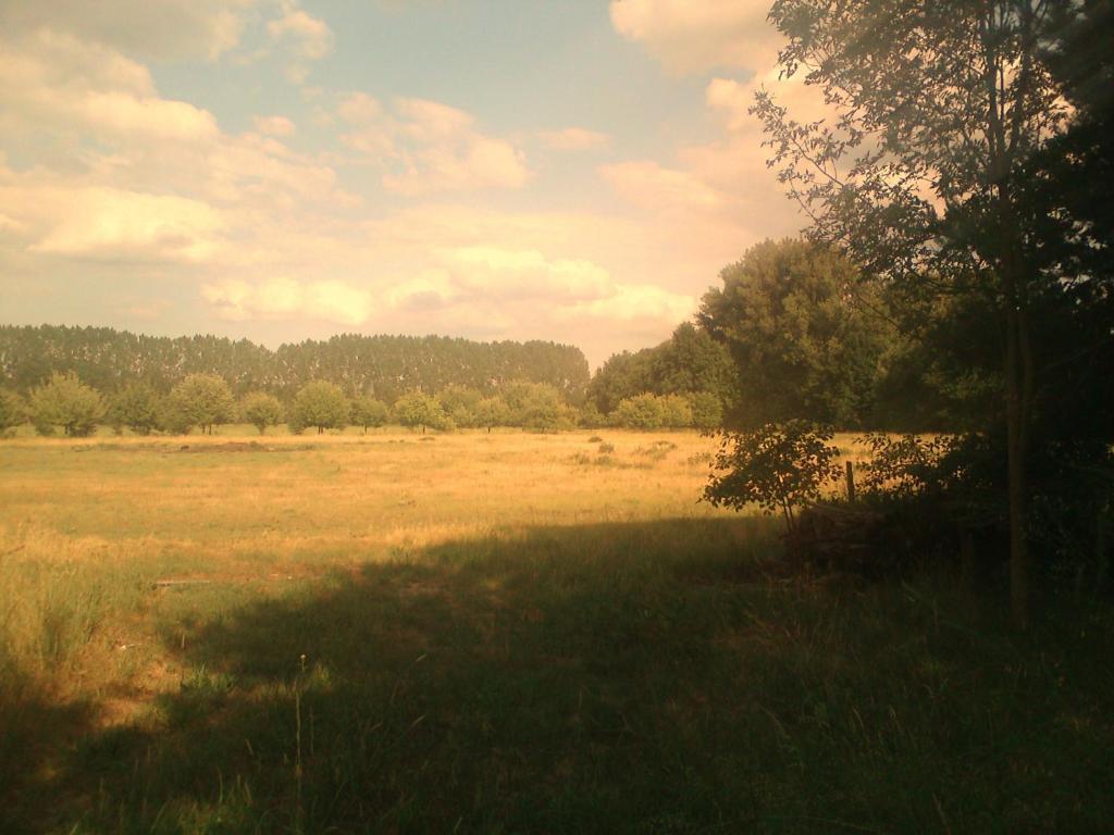 Ferienhof Idyll Am Kleinen Fliess Burg  Eksteriør bilde